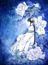 媚妃乱后宫