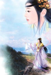 无敌王婿